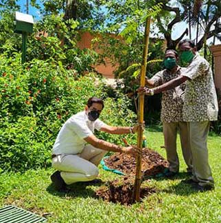Environment and Sustainability