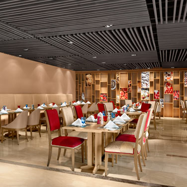 Cafe Knosh Picture 1