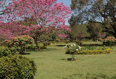 Cubbon Park