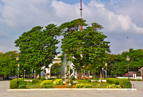 Arignar Anna Zoological Park