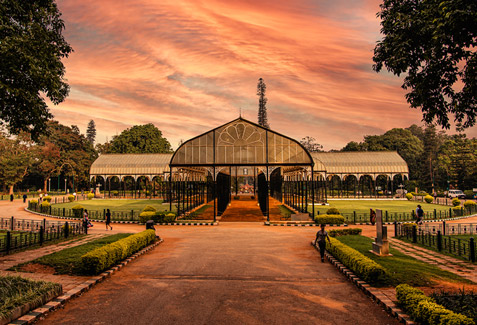 Nature and Wildlife in Bengaluru