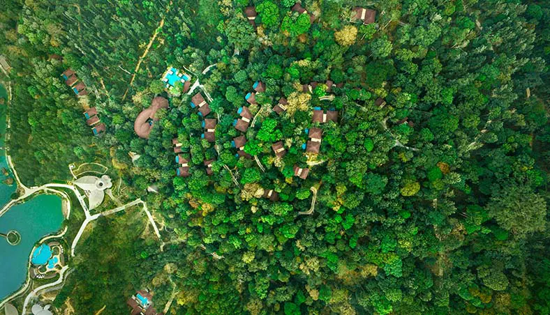 The Leela Coorg Forest Sanctuary