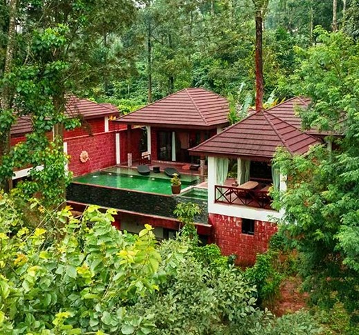Where the forest becomes home 