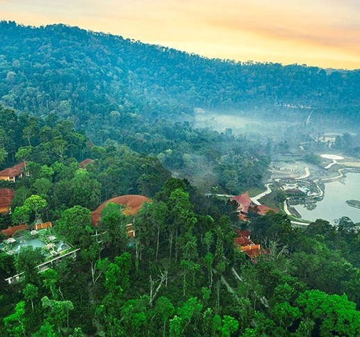 Ultimate guide to best resorts in Coorg