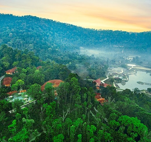 Coorg in the rains