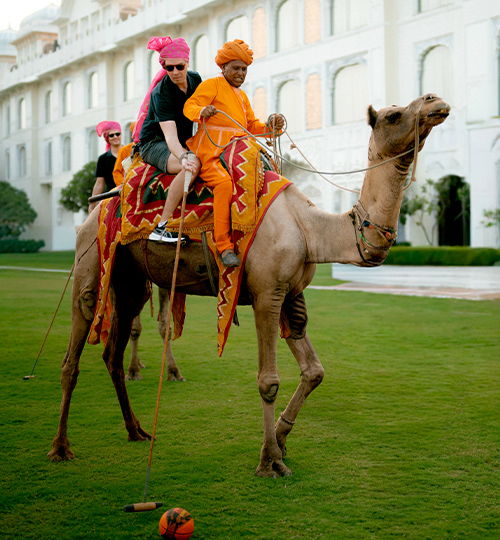 /Camel%20Polo