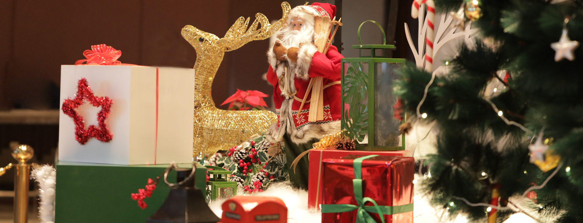 Christmas and New Year Specials