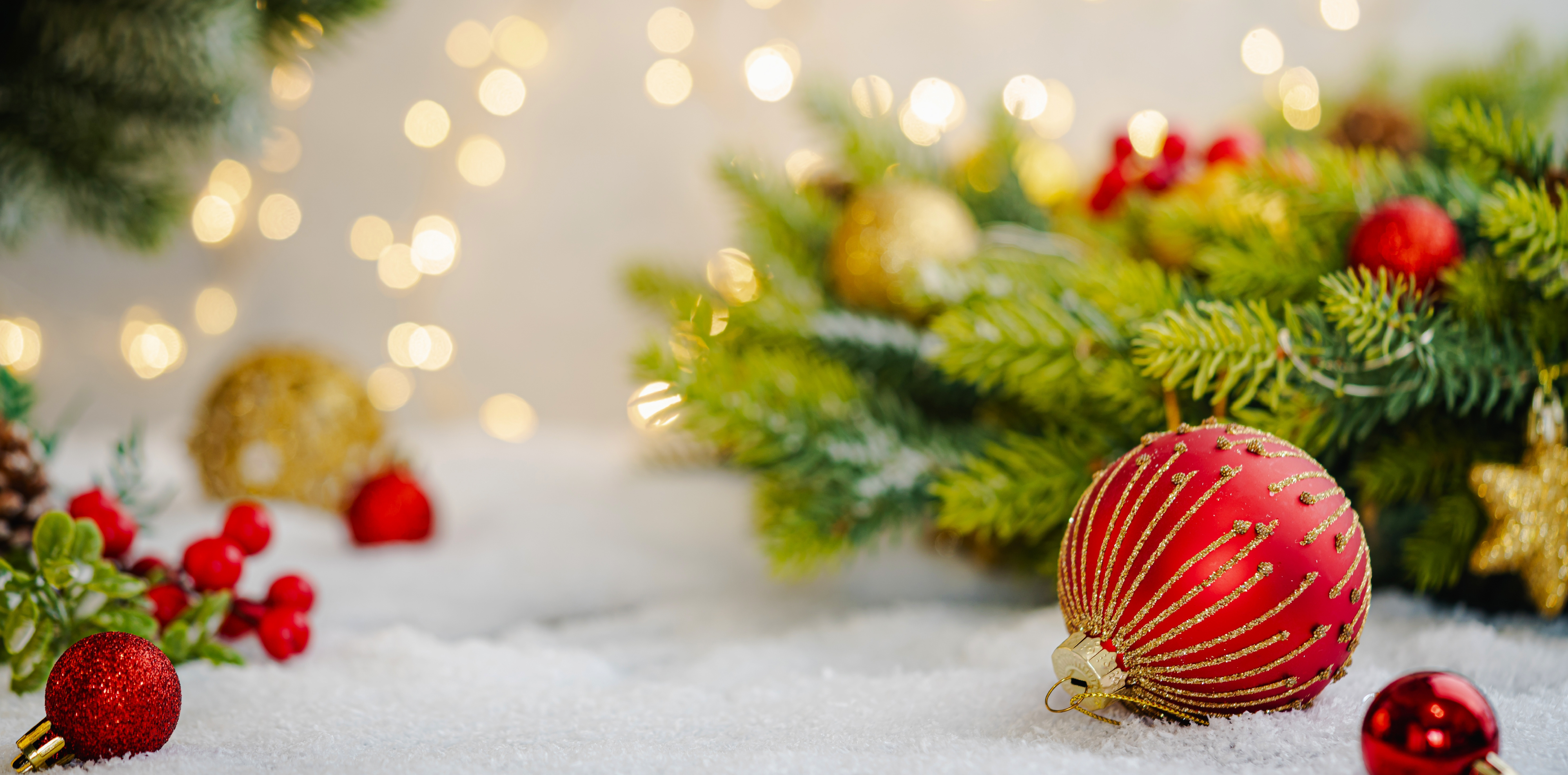 Christmas and New Year Specials