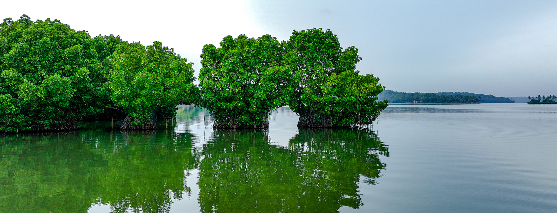 Holiday destinations in Kerala