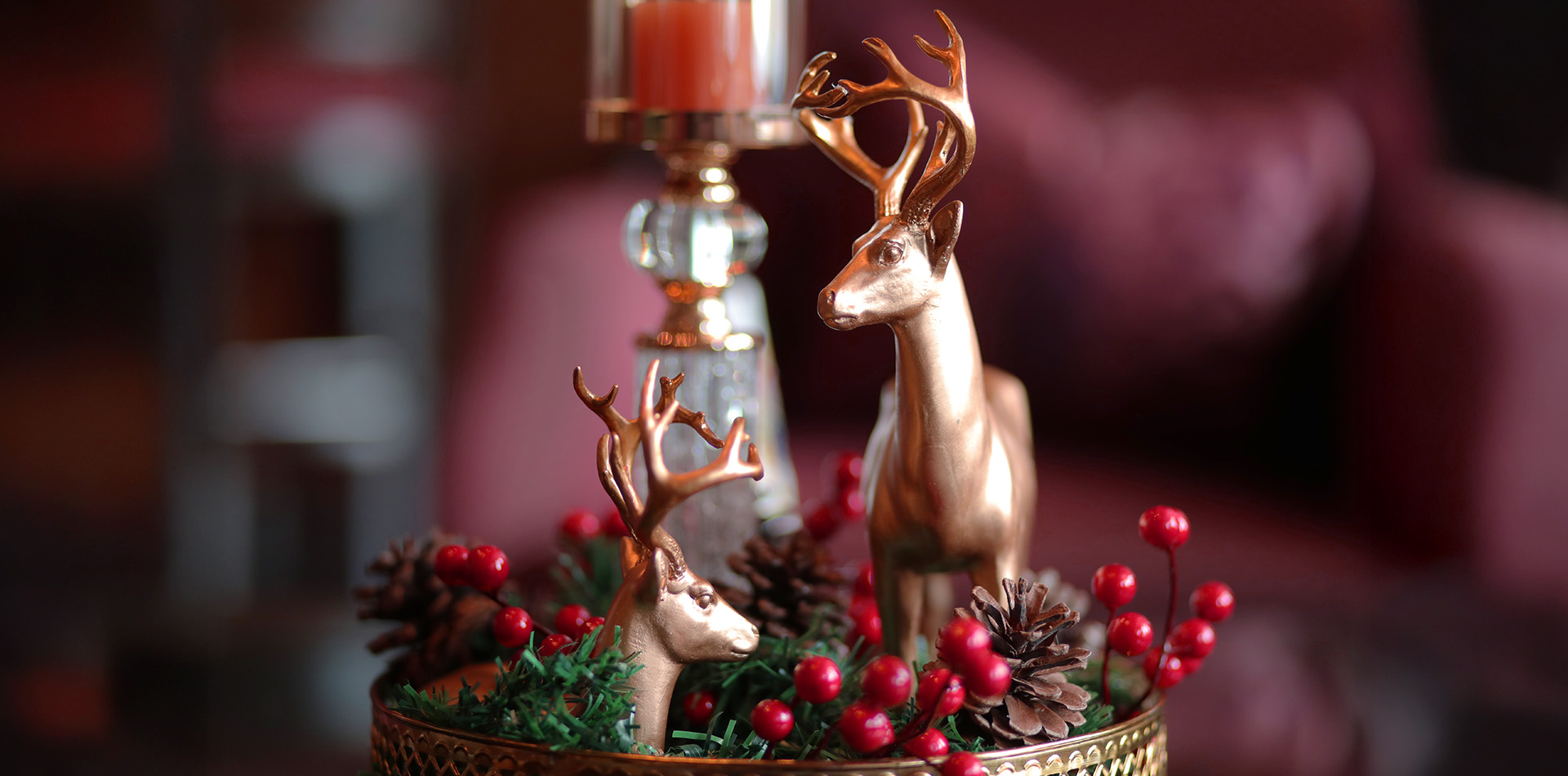 Christmas and New Year Specials