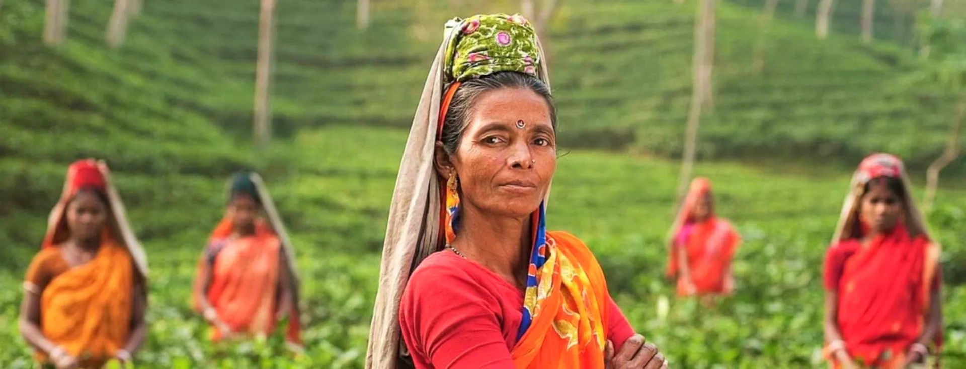 Jalinga Tea Estate