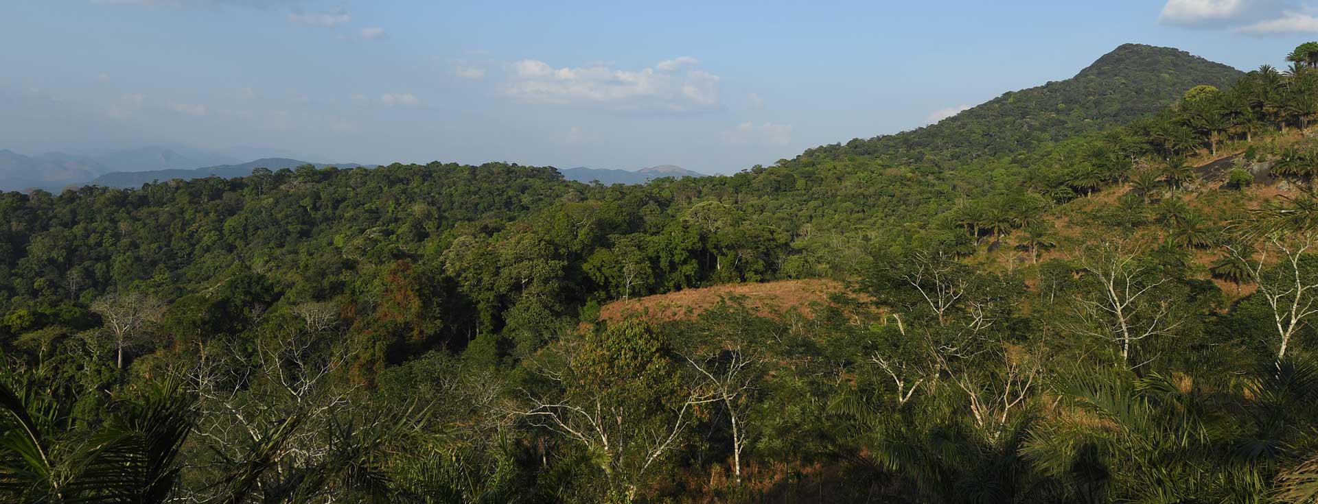 Shendurney Wildlife Sanctuary
