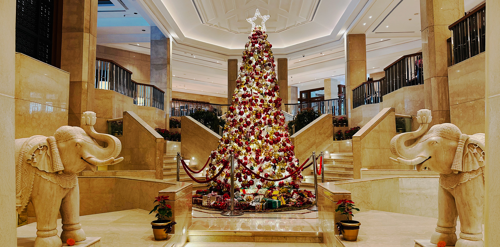 Festive Season Celebrations 