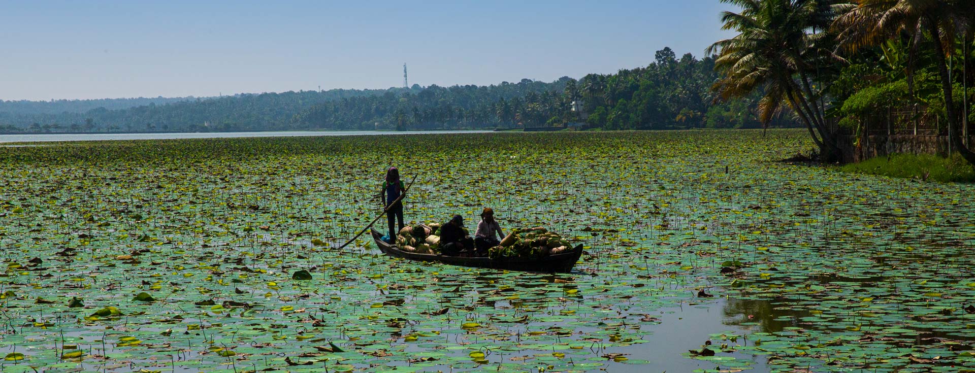 Vellayani Lake