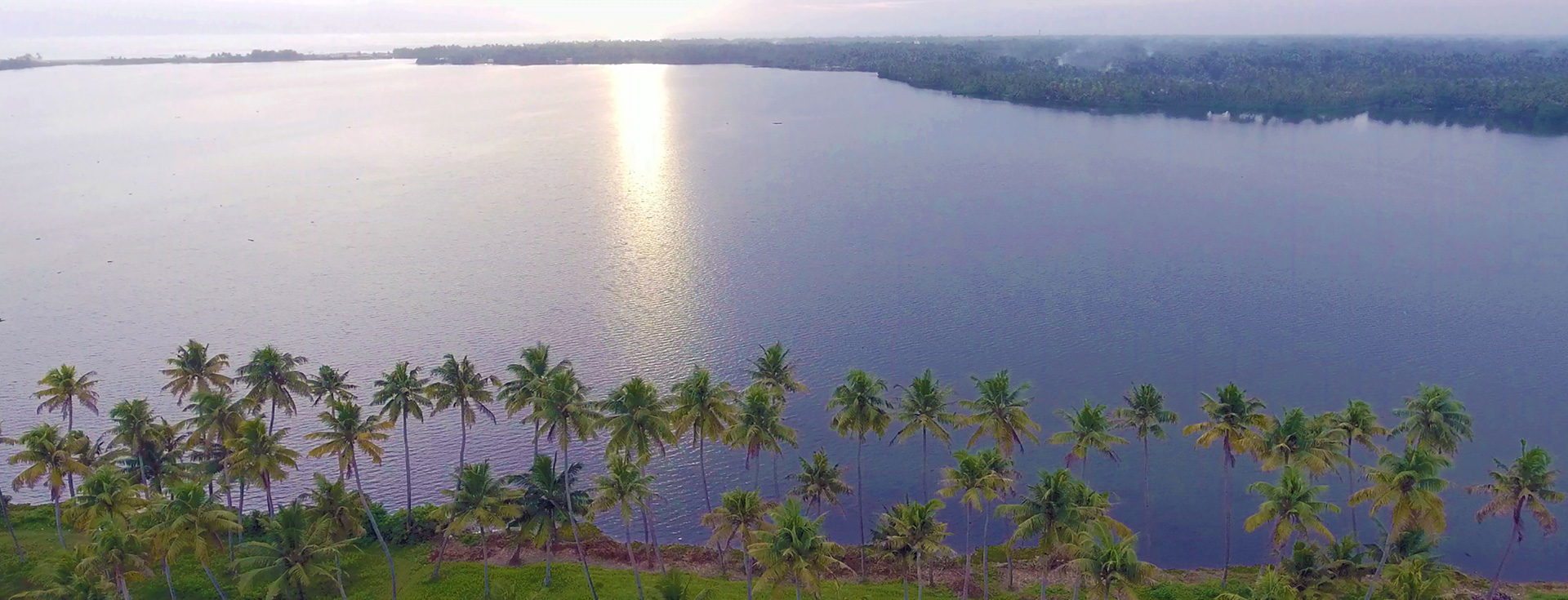 Bird watching in Ashtamudi