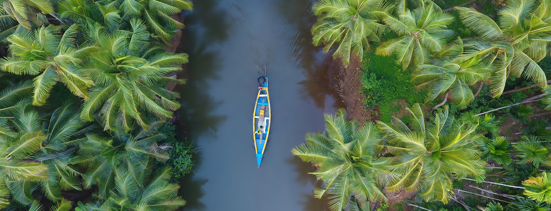 A bird’s eye view of Ashtamudi