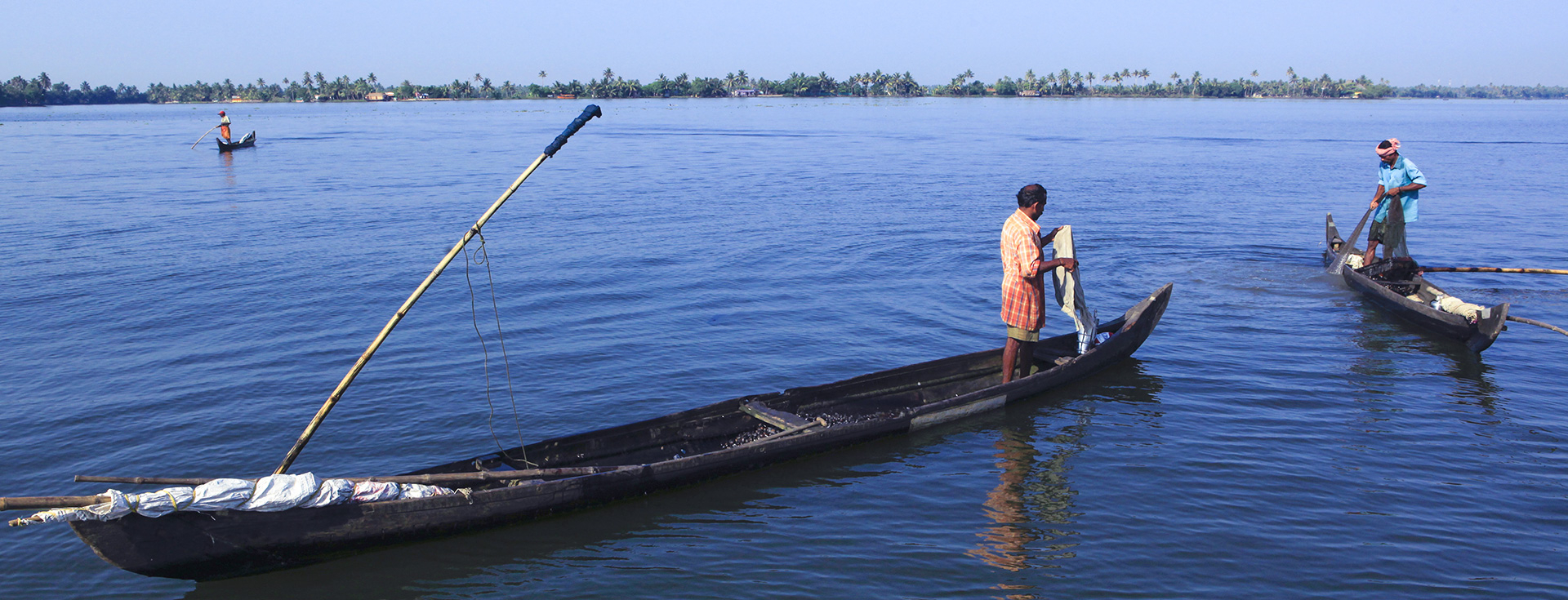 Economy of the Ashtamudi Lake area