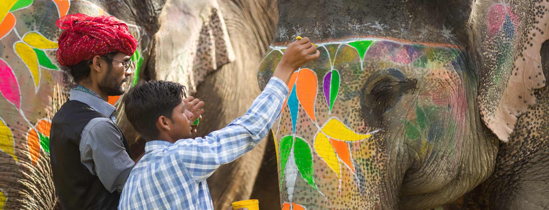 Elefun is a luxurious elephant sanctuary