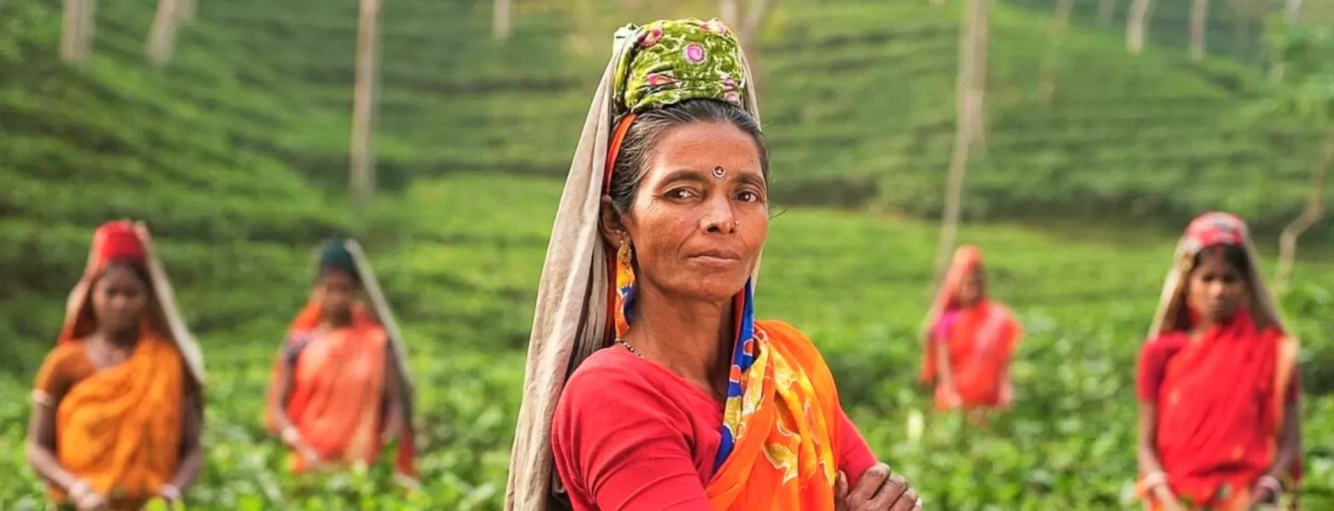 Jalinga Tea Estate
