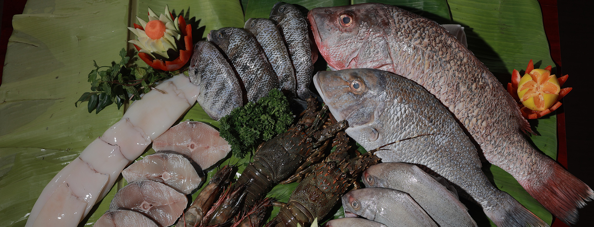 Nutritional benefits of fresh water fishes