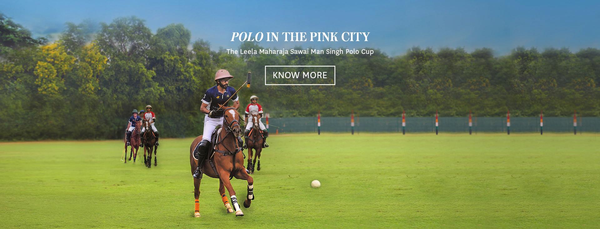 Polo in the Pink City