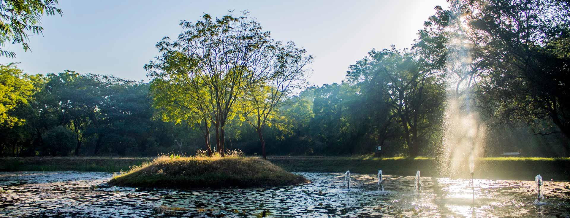 Puneet Van in Gandhinagar