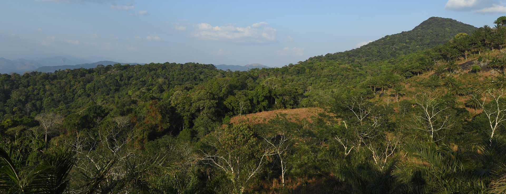 Shendurney Wildlife Sanctuary