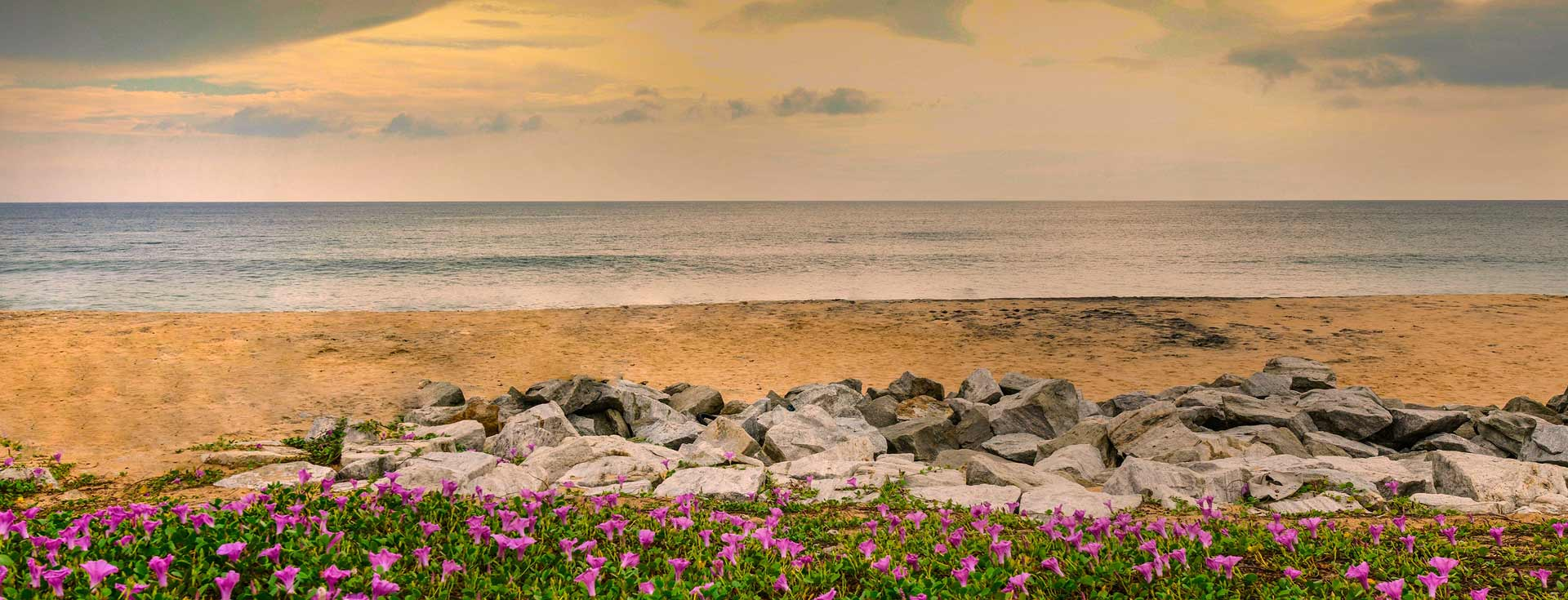 Thanni Beach