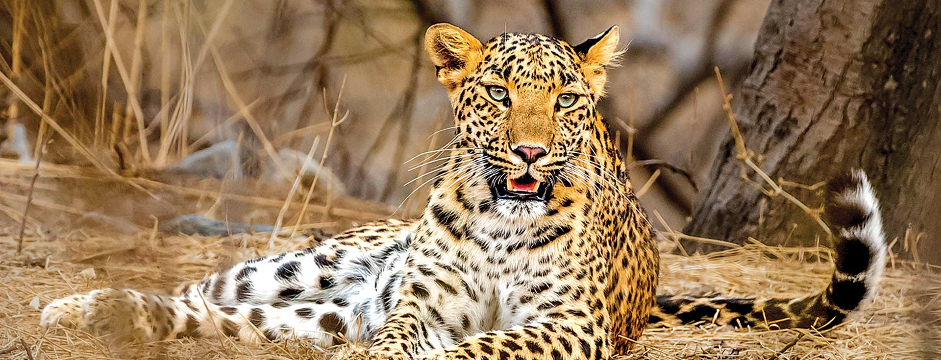 Thiruvananthapuram Zoo