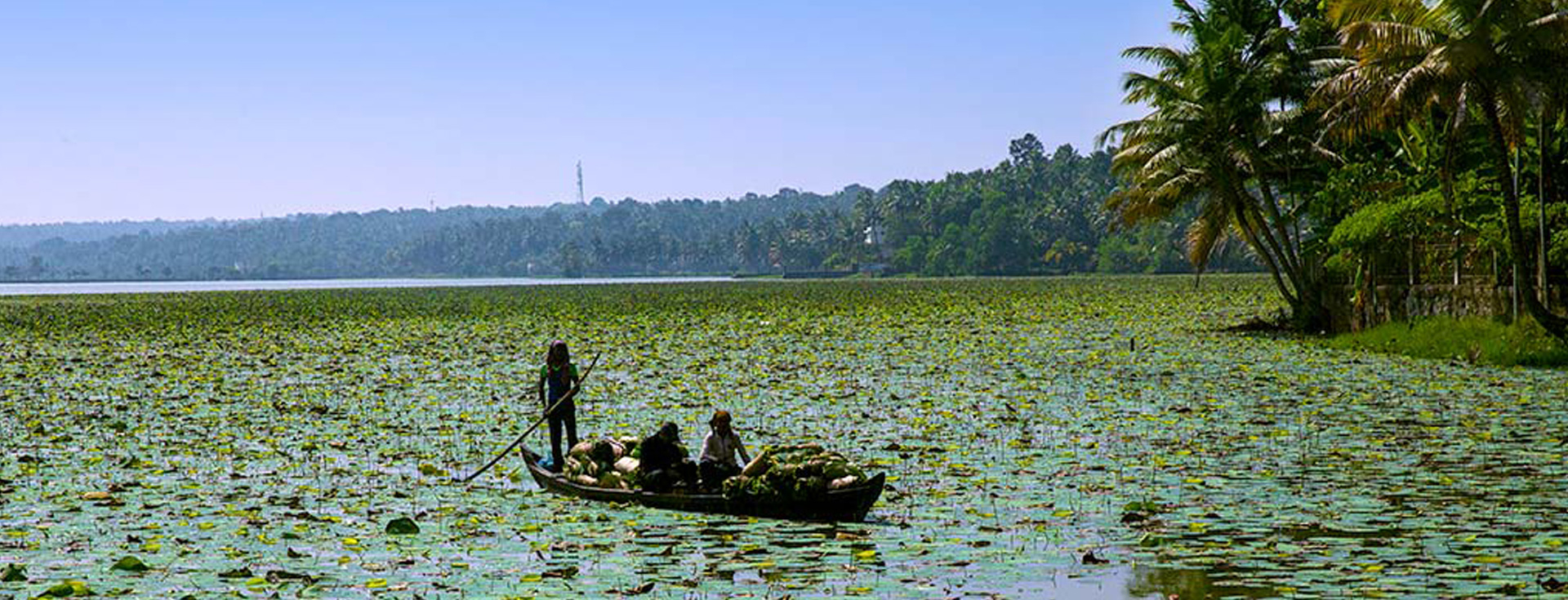 Vellayani Lake