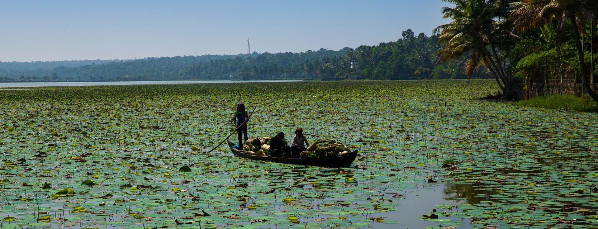 Vellayani Lake