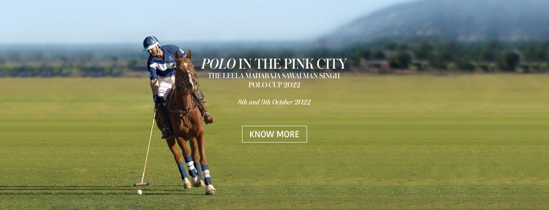 Polo in pink city - Jaipur