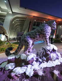 The Exhibition Centre
