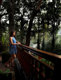Immersive experiences of Coorg