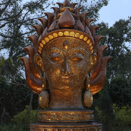 The Leela