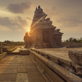 The Leela