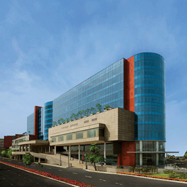 The Leela