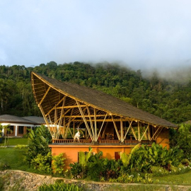The Leela