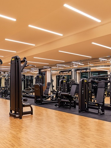 Elevated fitness experience