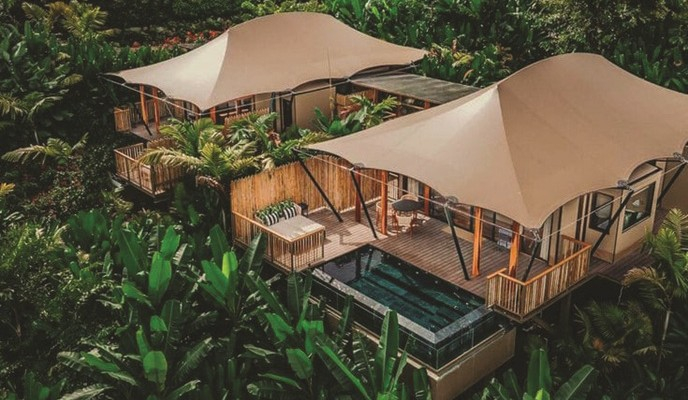 The Leela Bandhavgarh