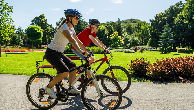 Enjoy a Bicycle Tour 