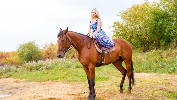 Indulge in Horse Riding Activity