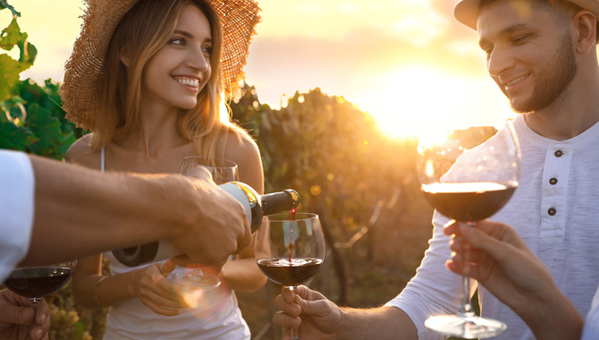 Vineyard visit with wine tasting tour 