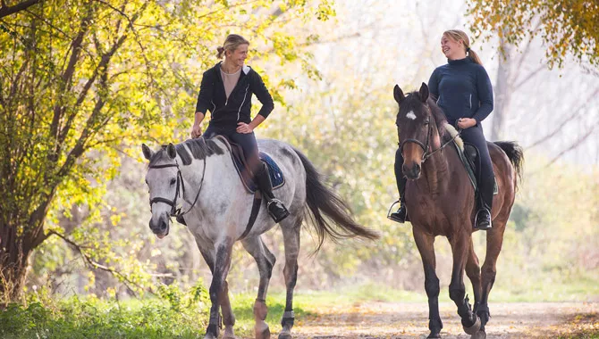 Horse Ride Through Countryside 