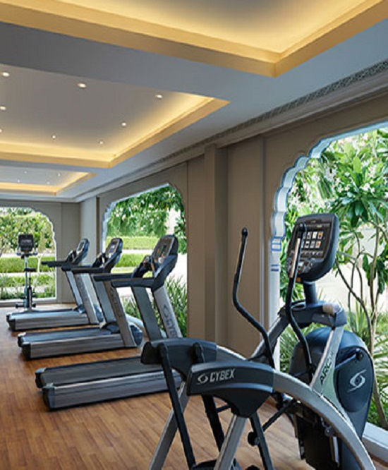 Wellness - The Leela Palace Udaipur