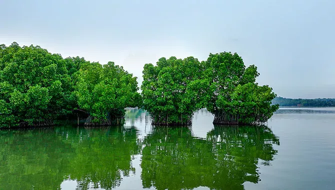 Visit to Munroe Island Kerala