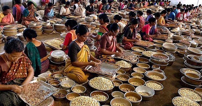 Visit to Cashew Factory