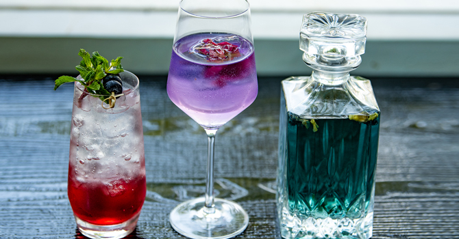 Mixology Session