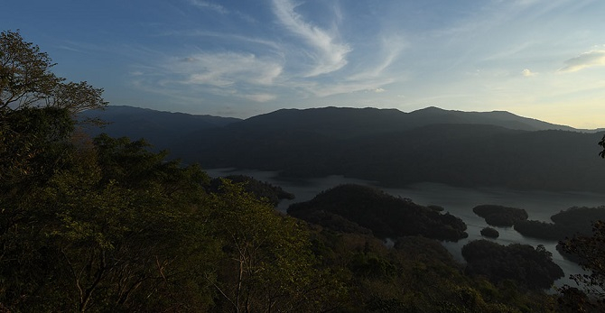 Trek Through the Tranquil Trails of Thenmala 