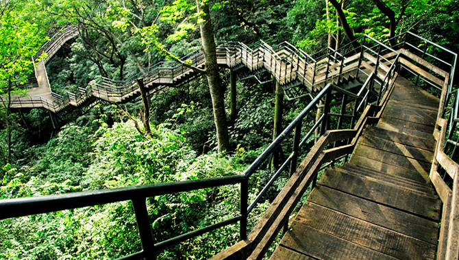 Thenmala Eco-tourism